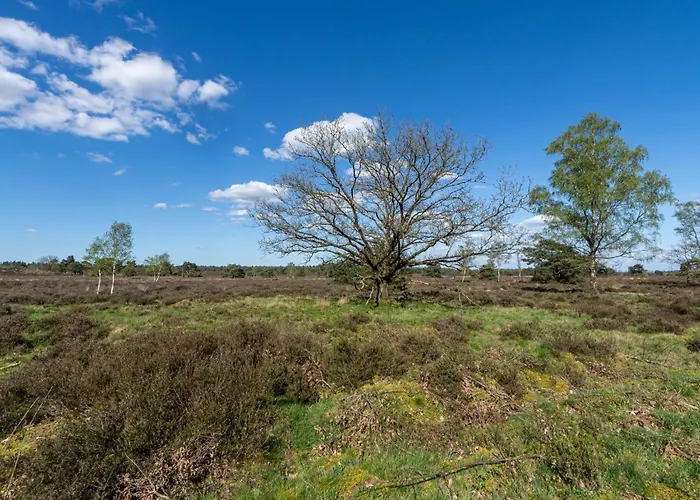 Mos Сasa de vacaciones *