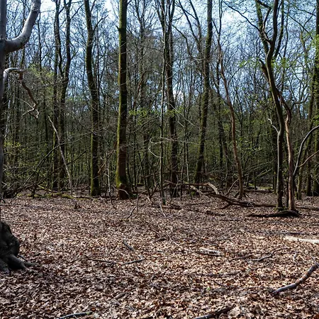 Vakantiehuis Mos Nunspeet