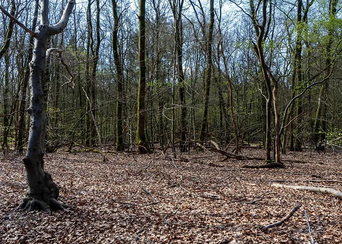 펜션 Mos 넌스피트